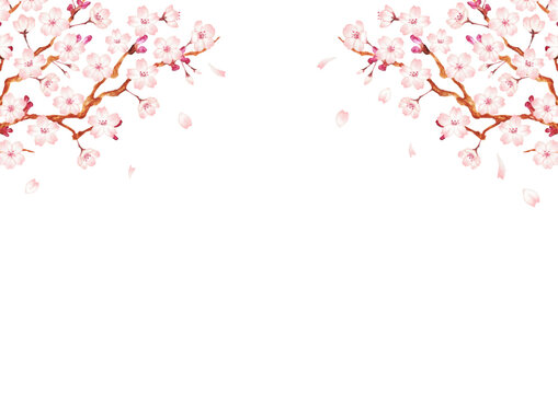 手書きの桜の木の背景イラスト