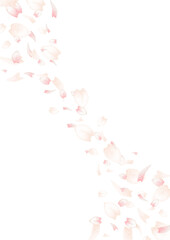 桜の花びらが舞う背景イラスト