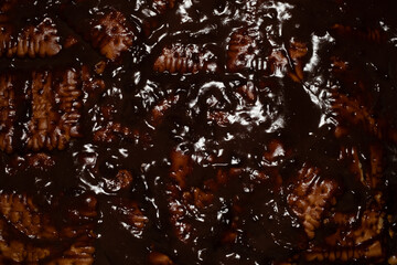 Close-up of chocolate biscuit dessert on tray
