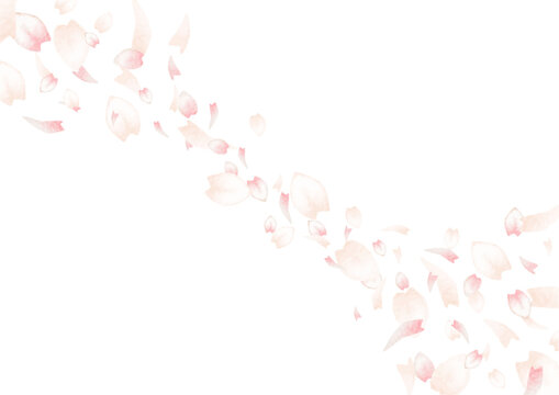 ふんわりと桜が舞う背景イラスト
