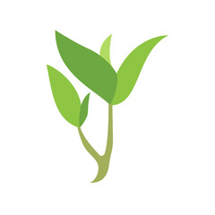 tea leaf icon design vector template