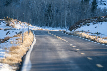 Mountain road late in fall with aspen trees and some snow in the distance.  