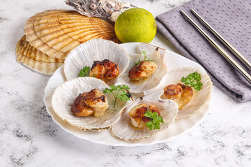 Grilled scallops shell with butter