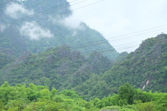 Forest and mountain landscape background with clouds and fog