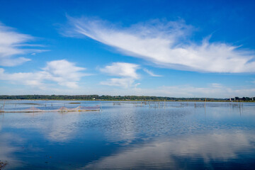 湖畔の風景