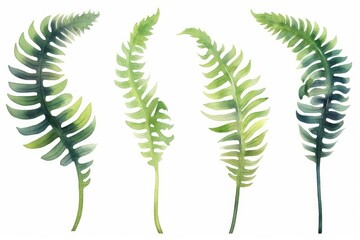 Watercolor painting fern green leaves,palm leaf isolated on white background.Watercolor hand painted illustration tropical exotic leaf for wallpaper vintage Hawaii style pattern. Generative AI