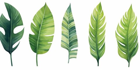 Watercolor Tropical Leaves Set, Palm leaf, banana leaves, fern. Watercolor illustration. white background, Generative AI - obrazy, fototapety, plakaty