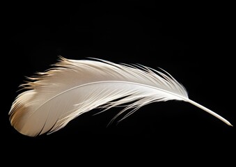 A minimalist photograph of a single white feather delicately floating in mid-air against a solid