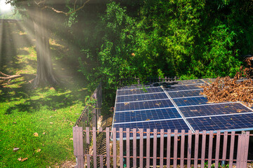 Solar panel in Green tree on natural background, Alternative energy concept and Clean energy.