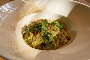 Mushroom Risotto on Elegant Restaurant Plate, Porcini Mushrooms Rissoto, Delicious Italian Risoto Lunch