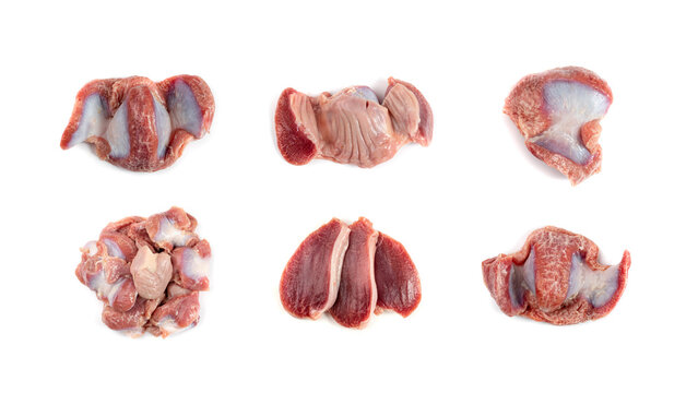 Poultry Offal Isolated, Raw Chicken Stomach, Poultry Giblets, Fresh Turkey Stomach, Chicken Gizzard