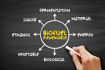 Biofuel renewable - derived entirely from plant-based organic materials, mind map concept on blackboard for presentations and reports