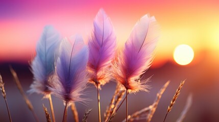 Grass Flower Blooming Colorful Filter Effect, HD, Background Wallpaper, Desktop Wallpaper