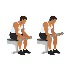 Man doing seated dumbbell palm down wrist curls or forearm curls exercise. Flat vector illustration isolated on white background - obrazy, fototapety, plakaty