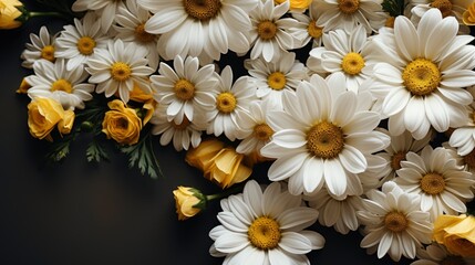 Fototapeta premium Fresh Daisy Camomile Marguerite, HD, Background Wallpaper, Desktop Wallpaper