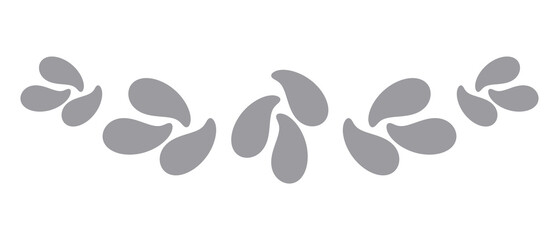 Classic Silver Text Divider Isolated on White