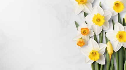 the beauty of vibrant daffodils, their cheerful yellow hues symbolizing renewal and new beginnings, arranged artfully on a pristine white surface, creating a refreshing floral composition.
