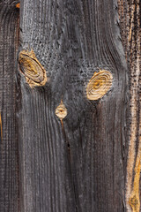 Wooden texture with resinous knots. Texture, Close-up, Background