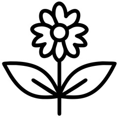 black and white flower