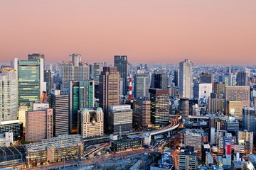 Fototapeta premium Japan. Kansai. Osaka. The business financial district at dusk