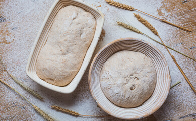 Bread proofing Whole grain dough in rattan baskets before baking Yeast-free sourdough bread