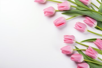 Obraz na płótnie Canvas Pink tulips on white background with copy space