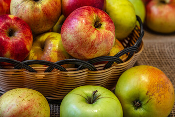 ripe juicy red and green apples grown in a personal garden in a basket on burlap cloth close up