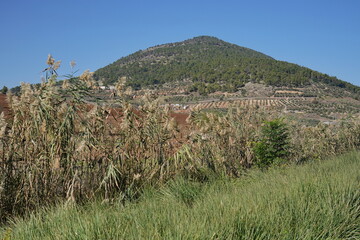 Mount Tabor in the Galilee, Israel with the Church of Transfiguration on top and agricultural...
