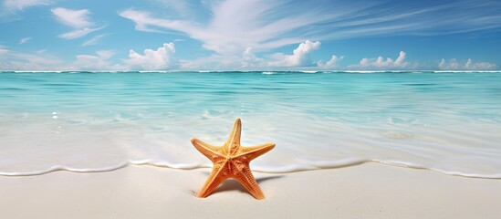 Fototapeta na wymiar A view of a starfish on a beach cloudy sky and turquoise sea at Kuredu island Maldives Lhaviyani atoll. Copy space image. Place for adding text