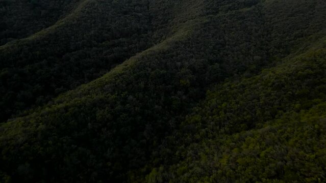 Rising drone shot of the forest filled mountains surrounding Monterrey, Mexico.