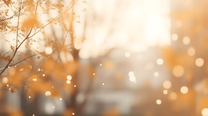 Golden Autumn Light Through Trees