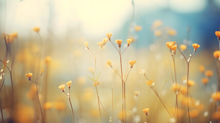 Golden wildflowers in field