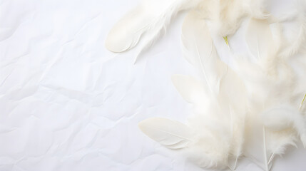 Soft white feathers arrangement on crumpled paper background