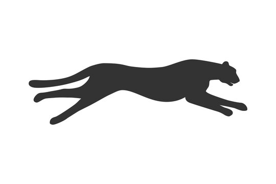 Cheetah animal logo and icon clean flat modern minimalist business