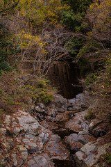 秋を感じる風景