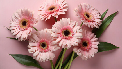 Gorgeous Pink Gerbera Flowers Against a Pink Background, Seen from Above