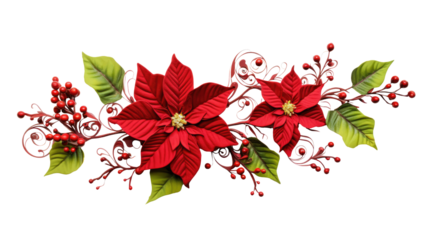 Red Christmas poinsettia flower isolated on transparent