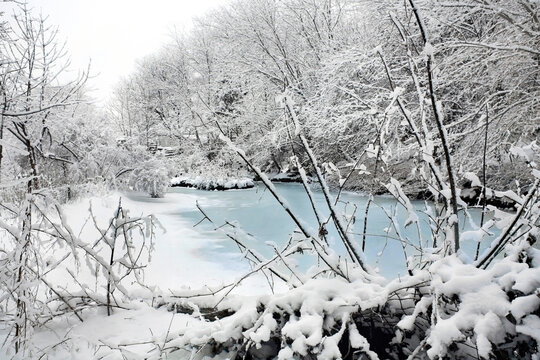 winter frozen pond