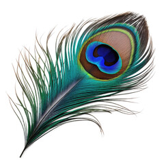 Fototapeta premium colorful peacock feather, isolated on transparent background
