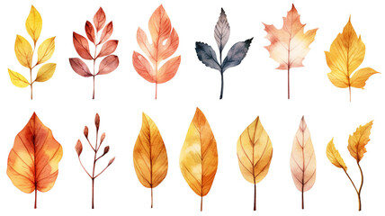 Fototapeta premium set of watercolor autumn leaves isolated on white background