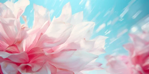 Foto op Aluminium Abstract art background banner. Pastel peach fuzz and rose pink petals isolated on a blue background. Luxury minimal style wallpaper with pink rose or peony flower, botanical leaves, organic shapes. © PEPPERPOT