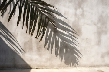Palm Leaves Shadow on Concrete Wall, Abstract Background for Summer and Beach Designs
