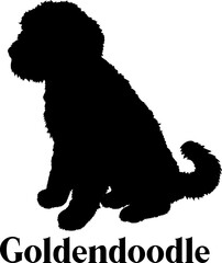 Goldendoodle Dog silhouette SVG Vector Dog breeds