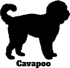 Cavapoo Dog silhouette SVG Vector Dog breeds