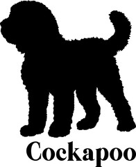 Cockapoo Dog silhouette SVG Vector Dog breeds