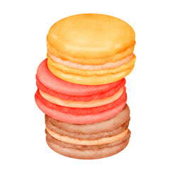 macaron cartoon watercolor