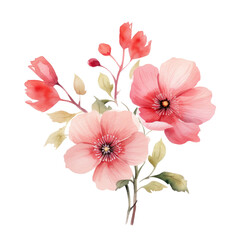 Fototapeta premium watercolor flower drawing