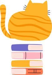 Cat And Books