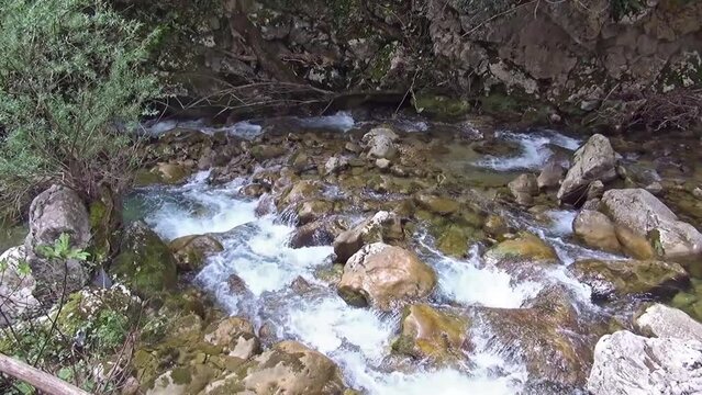 Mountain brooklet , Casaletto Spartano, Salerno, Italy.