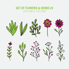 Fototapeta na wymiar Set Of Botanic Flowers And Herbs Editable Vector